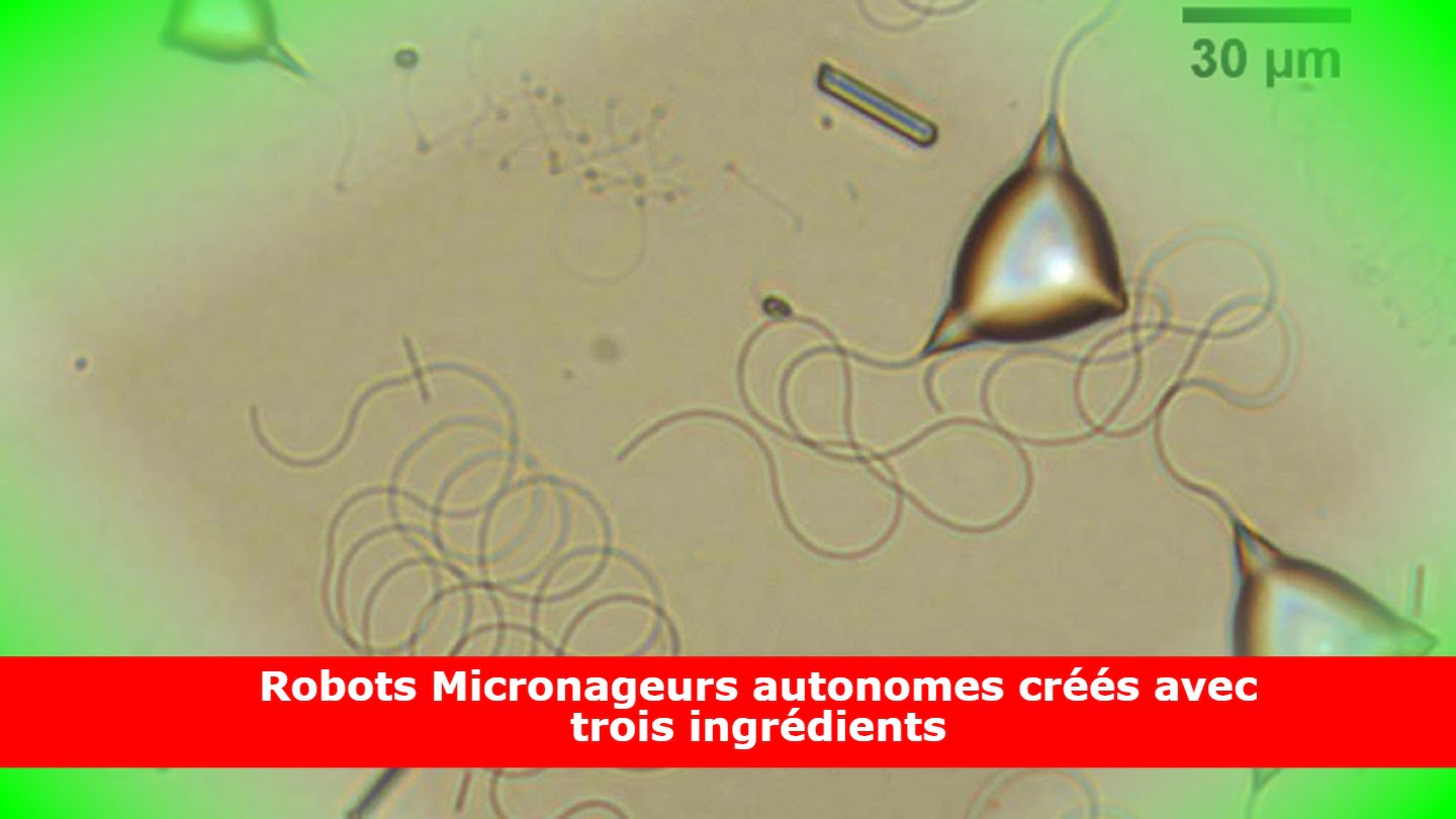 Robots Micronageurs autonomes créés avec trois ingrédients