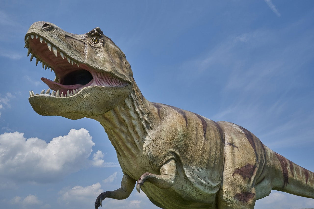 les-chercheurs-disent-que-le-t-rex-marchait-a-peu-pres-a-la-meme-vitesse-qu'une-personne