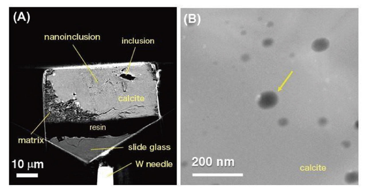 des-chercheurs-decouvrent-de-l'eau-a-l'interieur-d'une-meteorite-du-premier-systeme-solaire