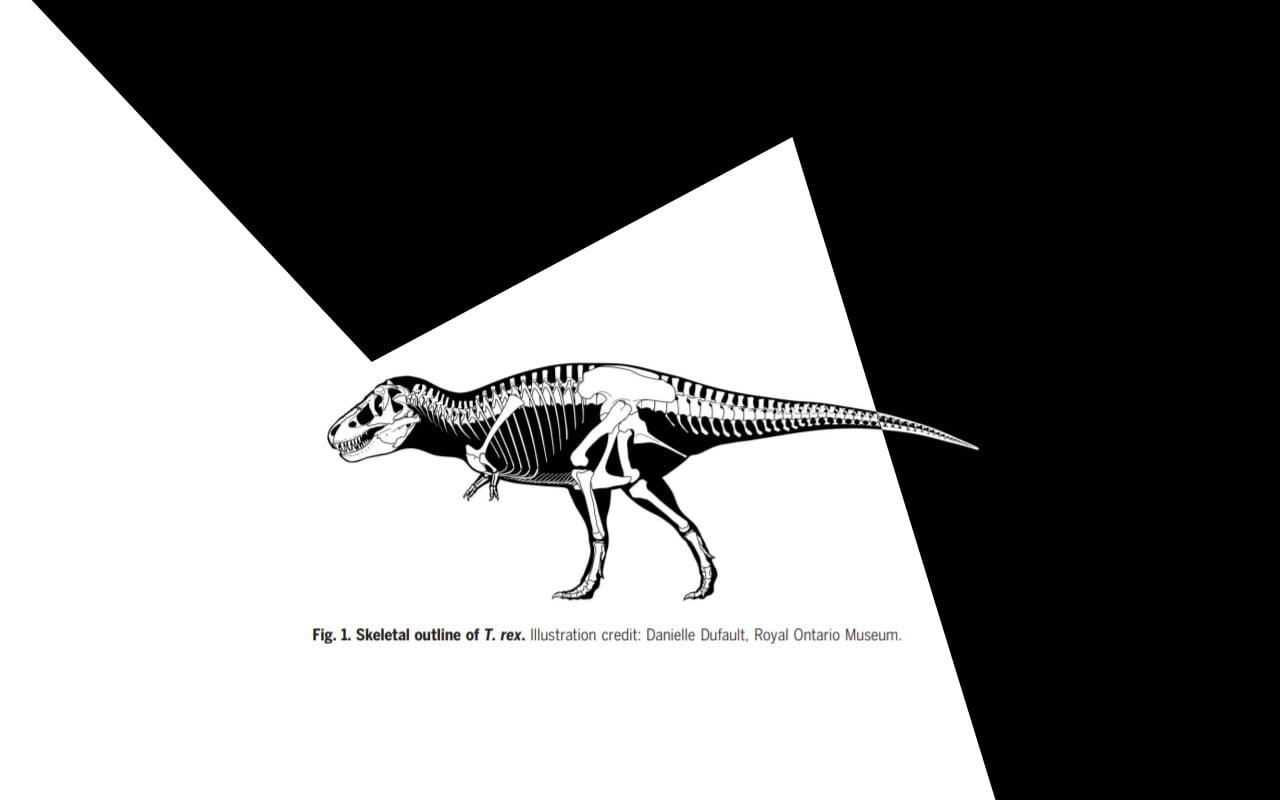 la-recherche-sur-le-decompte-des-dinosaures-commence-avec-tyrannosaurus-rex-par-mile-carre