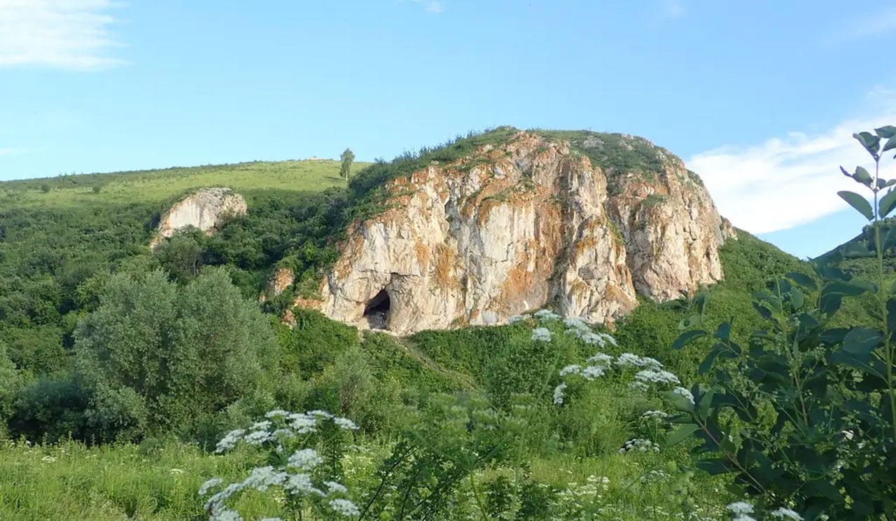 des-chercheurs-extraient-l'adn-de-neandertal-de-la-salete-a-l'interieur-d'une-ancienne-grotte