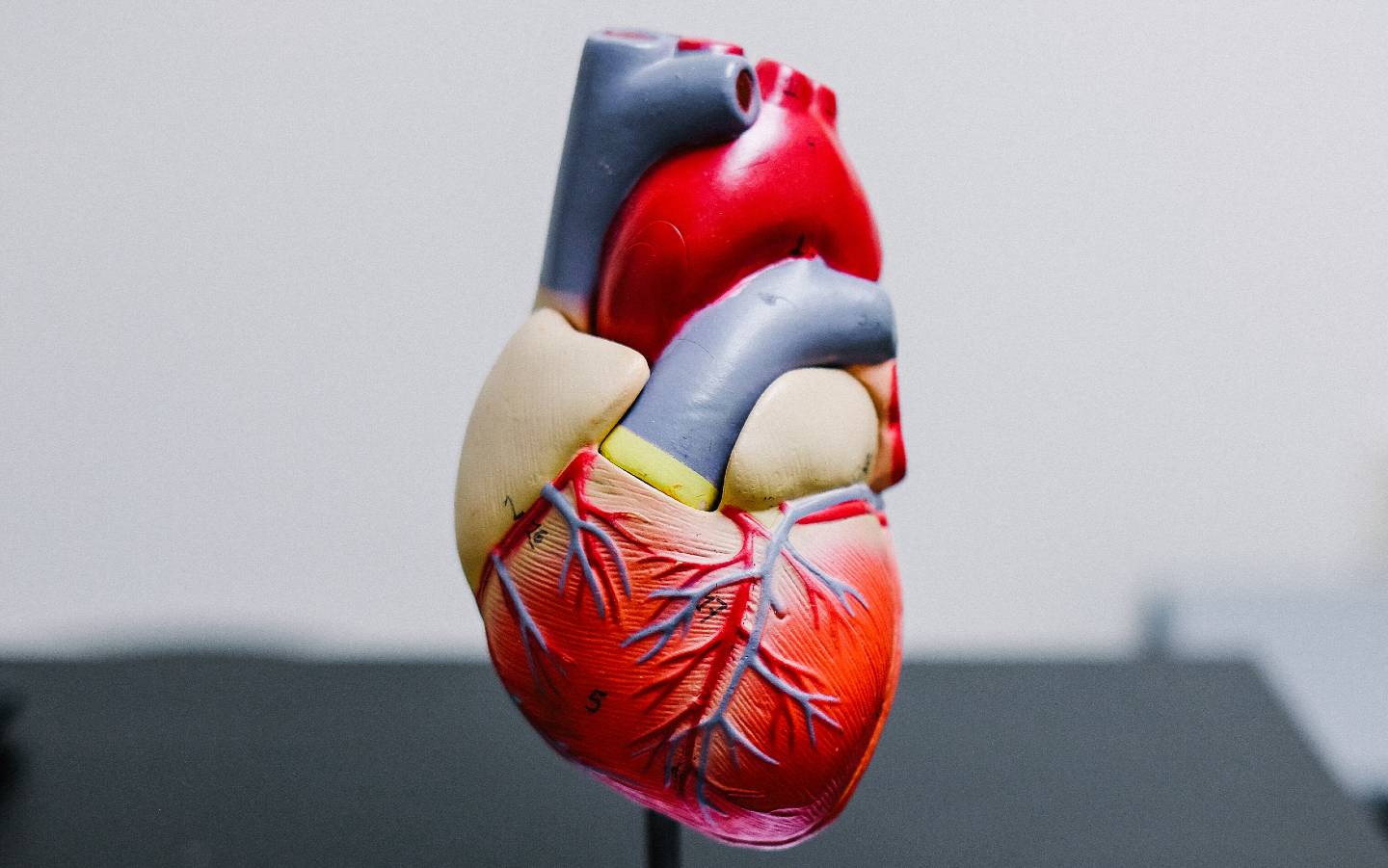 des-milliers-de-stimulateurs-cardiaques-rappeles-pour-risque-de-court-circuit-dangereux