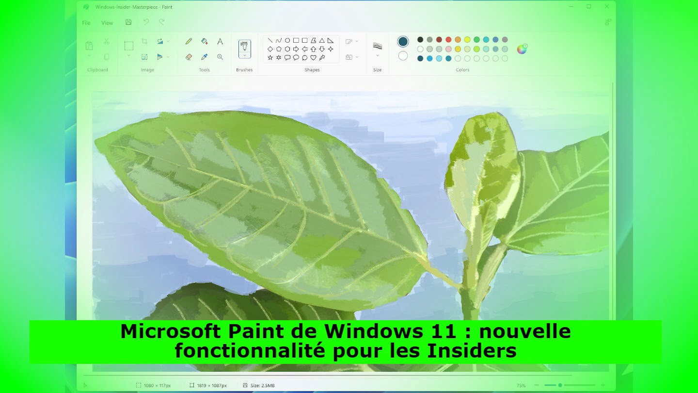 Microsoft Paint de Windows 11 : nouvelle fonctionnalité pour les Insiders