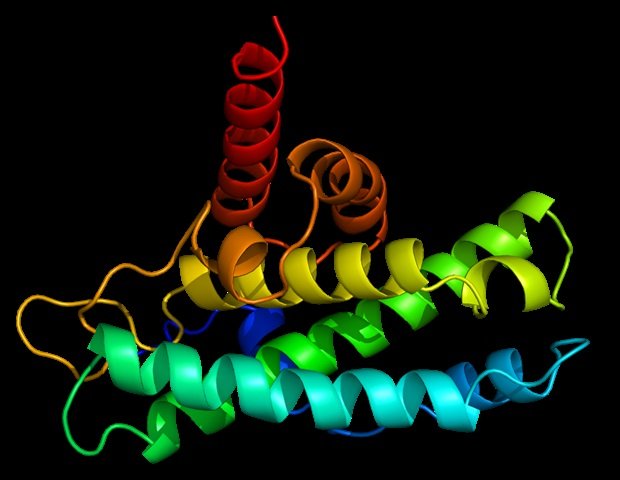 La structure d'une protéine capable de pomper les molécules toxiques hors des cellules bactériennes a été révélée.