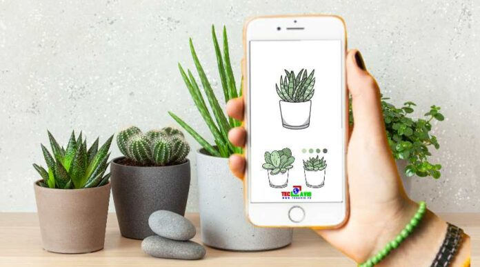 Smartphone botanique : connaître les plantes avec son smartphone