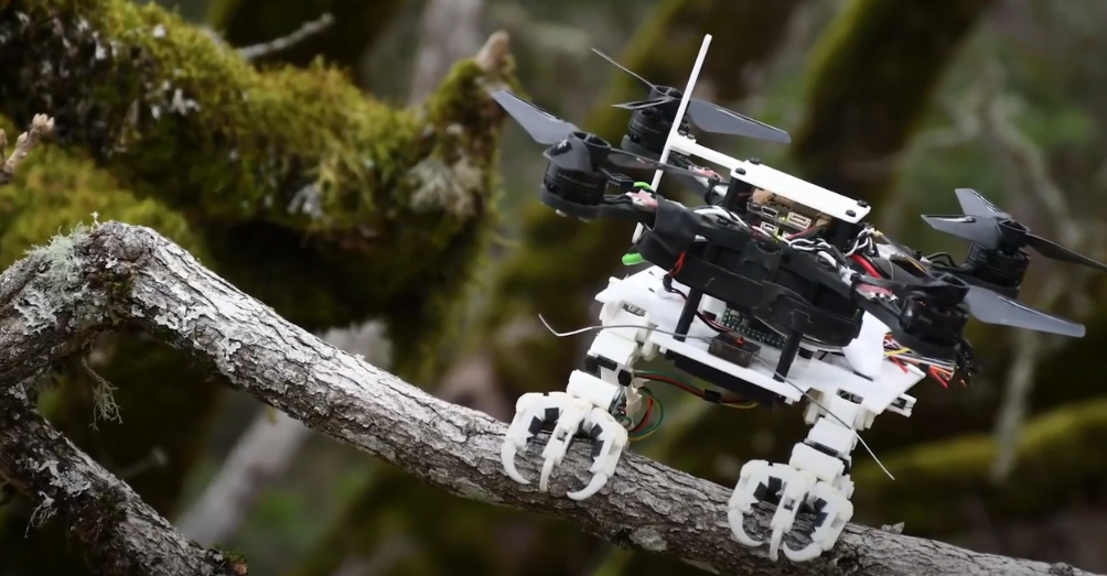 Un drone a des jambes découvrez le robot volant se percher sur un arbre et attraper sa balles