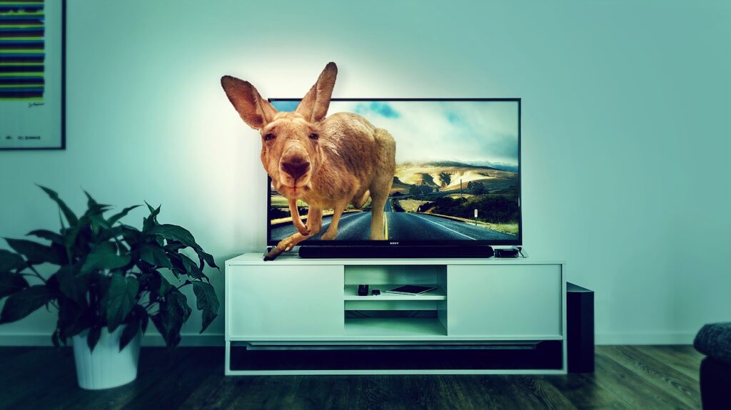 Les vraies raisons de l'échec de la télévision 3D